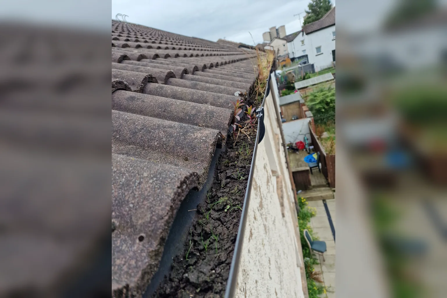 Roofline gutter with debris before clearing.