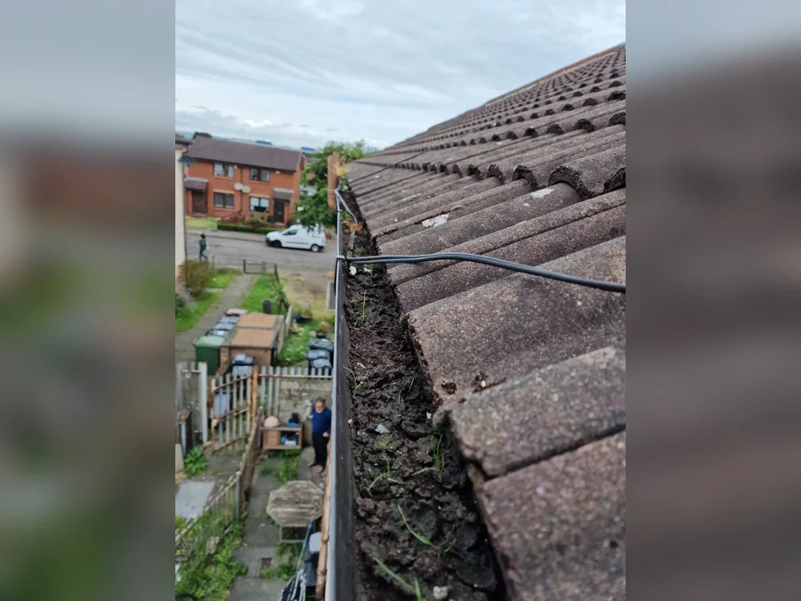 Roofline gutter with debris before clearing.